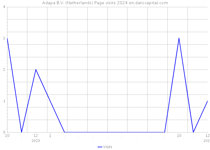 Adapa B.V. (Netherlands) Page visits 2024 