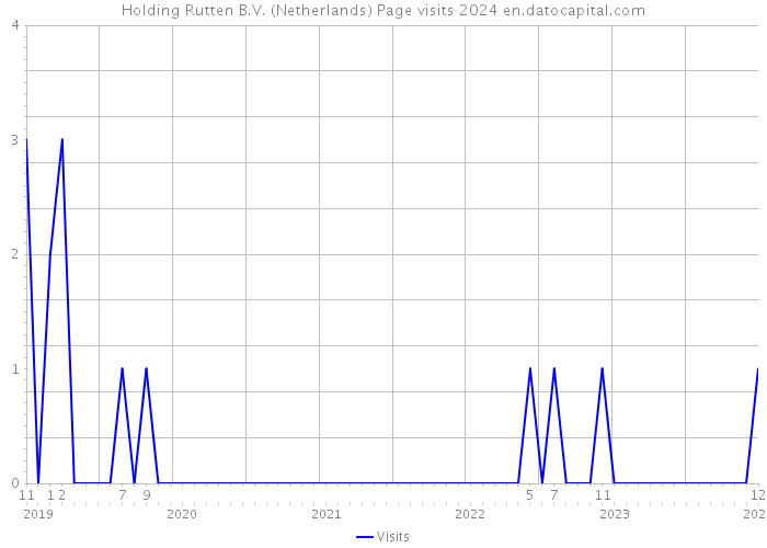 Holding Rutten B.V. (Netherlands) Page visits 2024 