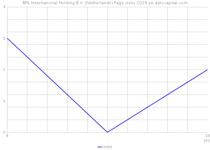 BRL International Holding B.V. (Netherlands) Page visits 2024 