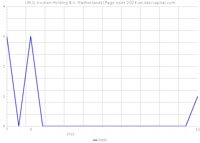 I.M.G. Kocken Holding B.V. (Netherlands) Page visits 2024 