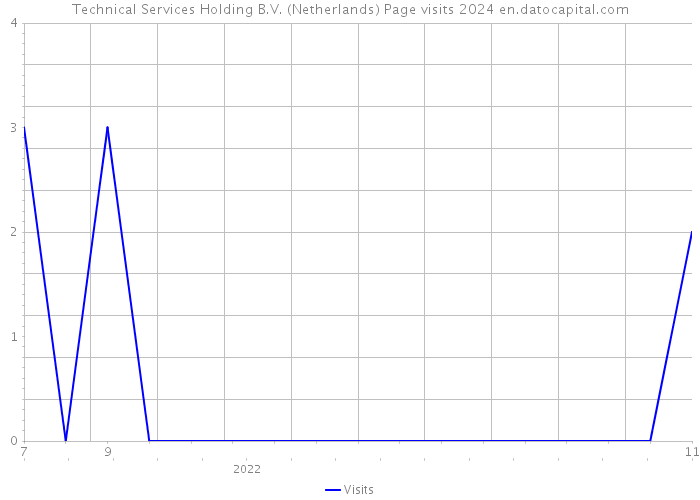 Technical Services Holding B.V. (Netherlands) Page visits 2024 