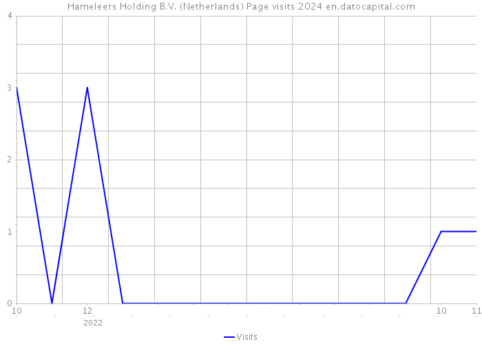 Hameleers Holding B.V. (Netherlands) Page visits 2024 