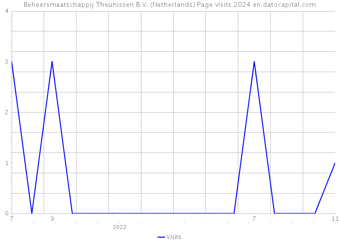 Beheersmaatschappij Theunissen B.V. (Netherlands) Page visits 2024 