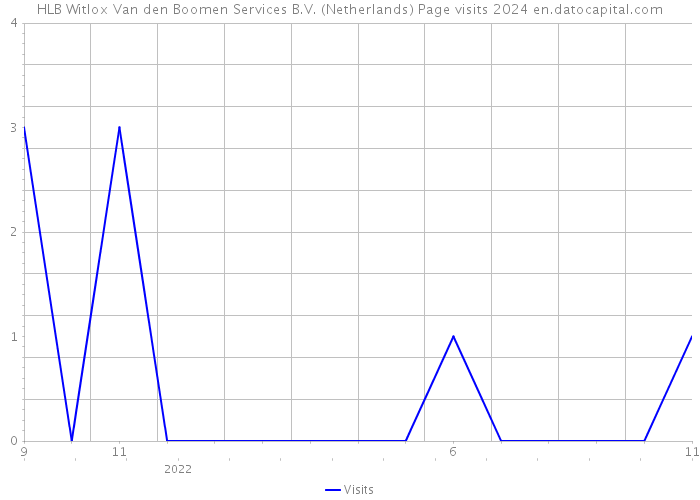 HLB Witlox Van den Boomen Services B.V. (Netherlands) Page visits 2024 