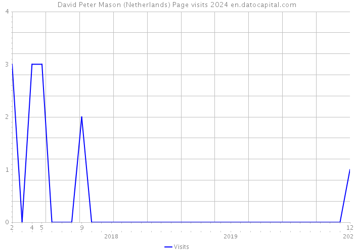 David Peter Mason (Netherlands) Page visits 2024 