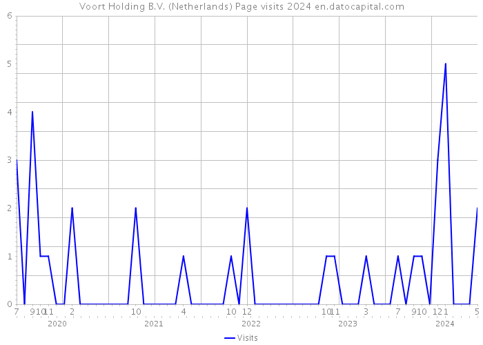 Voort Holding B.V. (Netherlands) Page visits 2024 