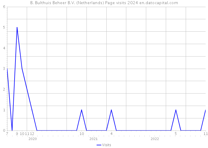 B. Bulthuis Beheer B.V. (Netherlands) Page visits 2024 