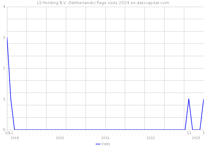 LS Holding B.V. (Netherlands) Page visits 2024 