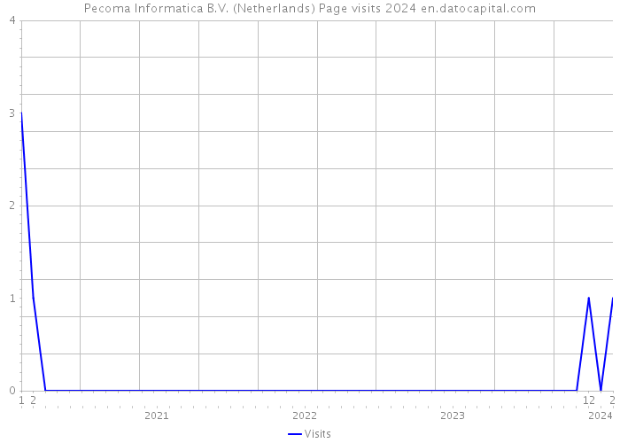 Pecoma Informatica B.V. (Netherlands) Page visits 2024 