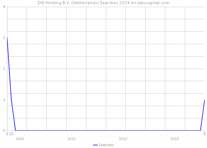 DSI Holding B.V. (Netherlands) Searches 2024 
