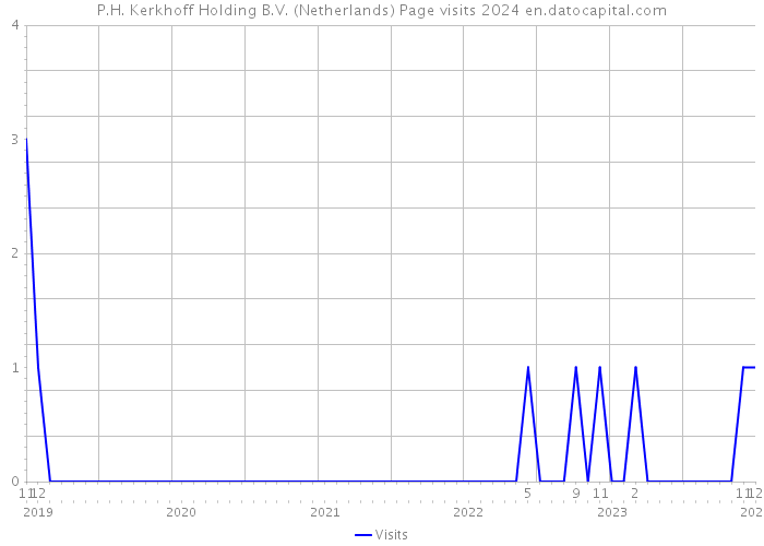 P.H. Kerkhoff Holding B.V. (Netherlands) Page visits 2024 