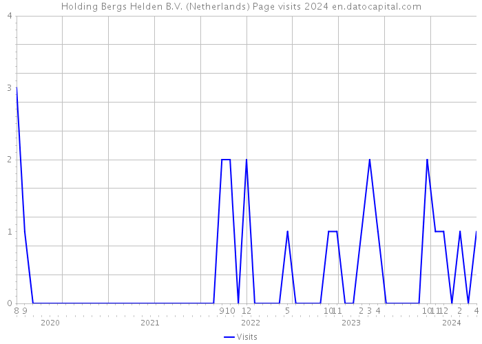 Holding Bergs Helden B.V. (Netherlands) Page visits 2024 