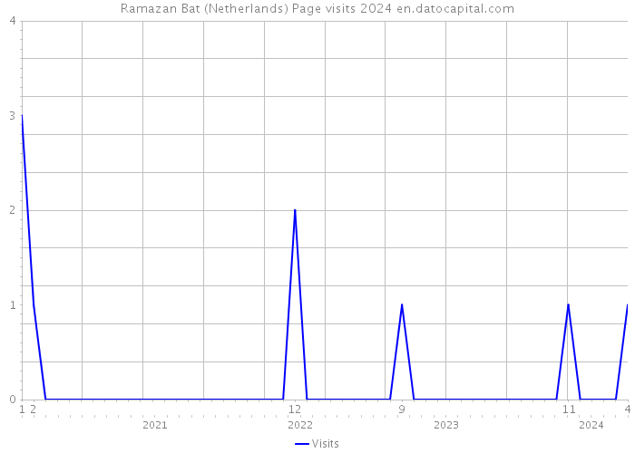 Ramazan Bat (Netherlands) Page visits 2024 