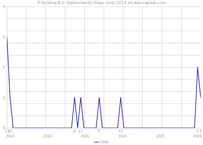 P Holding B.V. (Netherlands) Page visits 2024 