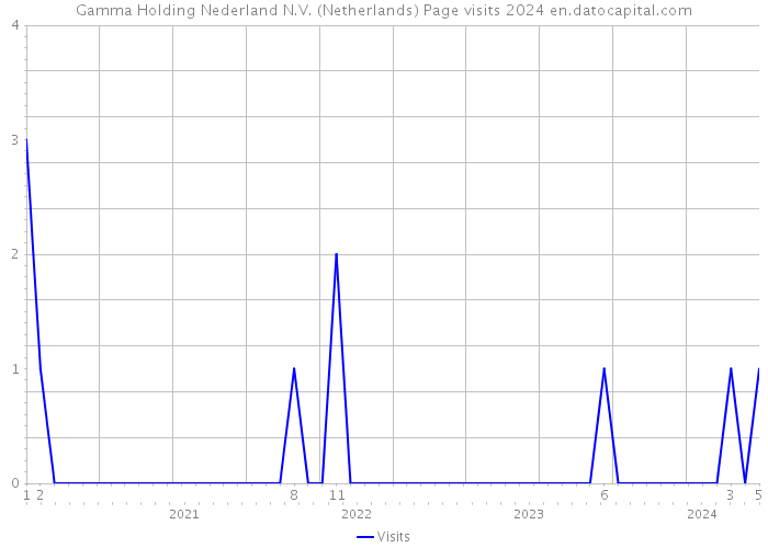 Gamma Holding Nederland N.V. (Netherlands) Page visits 2024 