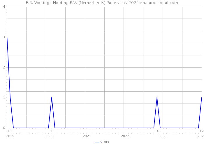 E.R. Woltinge Holding B.V. (Netherlands) Page visits 2024 
