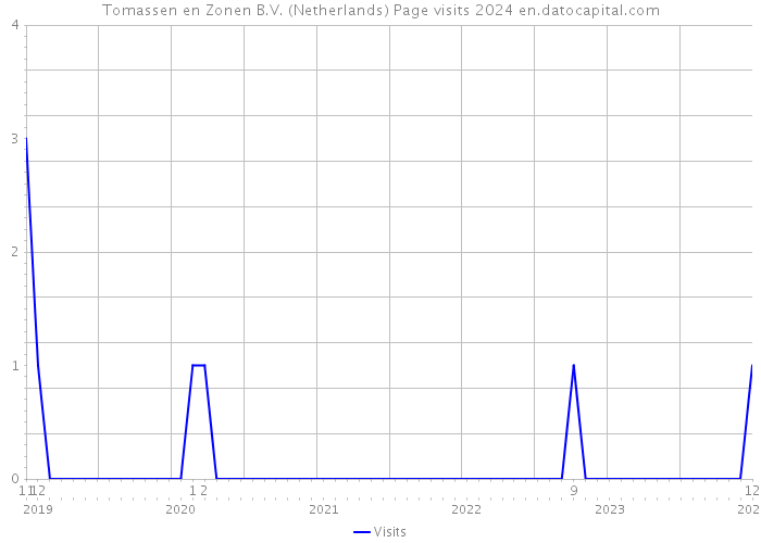 Tomassen en Zonen B.V. (Netherlands) Page visits 2024 