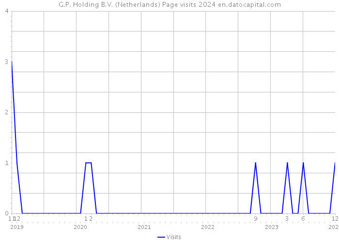 G.P. Holding B.V. (Netherlands) Page visits 2024 