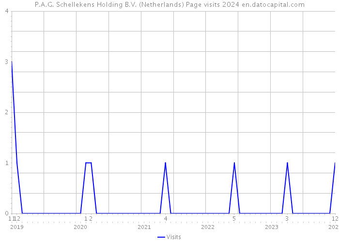 P.A.G. Schellekens Holding B.V. (Netherlands) Page visits 2024 