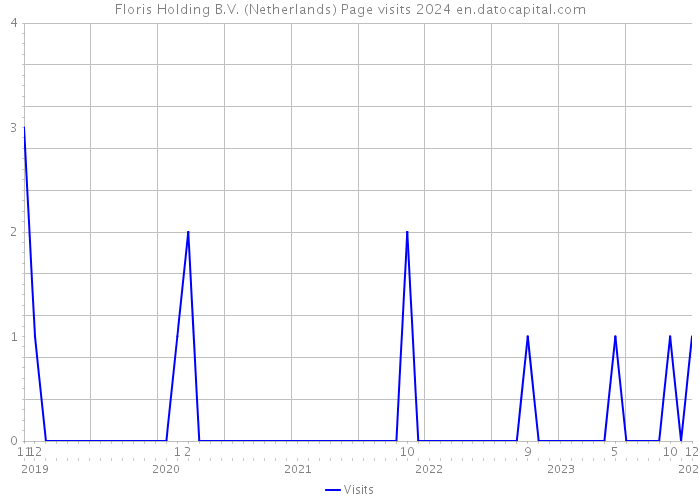 Floris Holding B.V. (Netherlands) Page visits 2024 