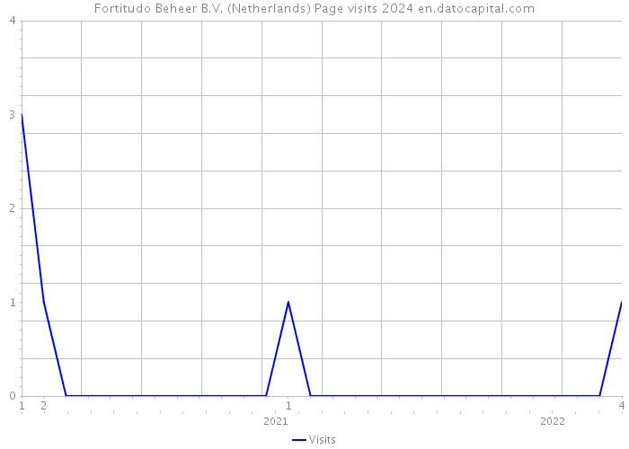 Fortitudo Beheer B.V. (Netherlands) Page visits 2024 