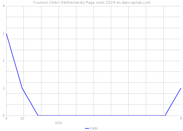 Youness Chikri (Netherlands) Page visits 2024 