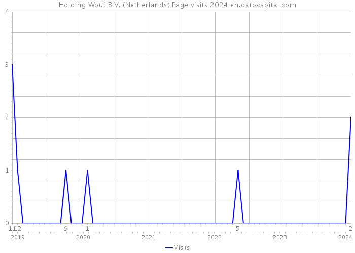 Holding Wout B.V. (Netherlands) Page visits 2024 