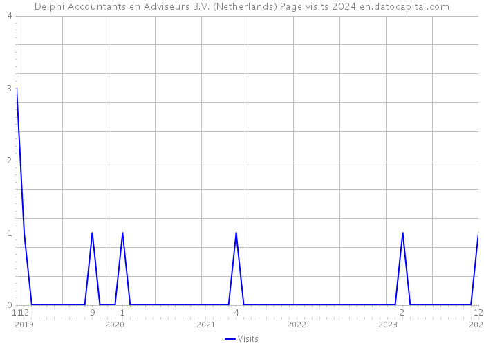Delphi Accountants en Adviseurs B.V. (Netherlands) Page visits 2024 