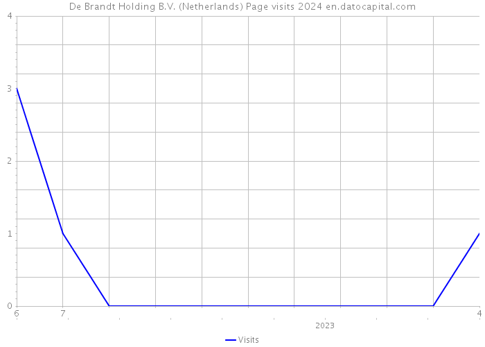De Brandt Holding B.V. (Netherlands) Page visits 2024 