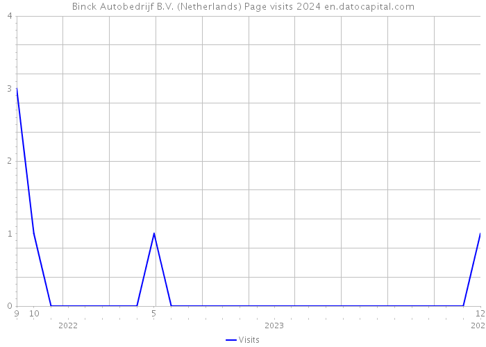 Binck Autobedrijf B.V. (Netherlands) Page visits 2024 