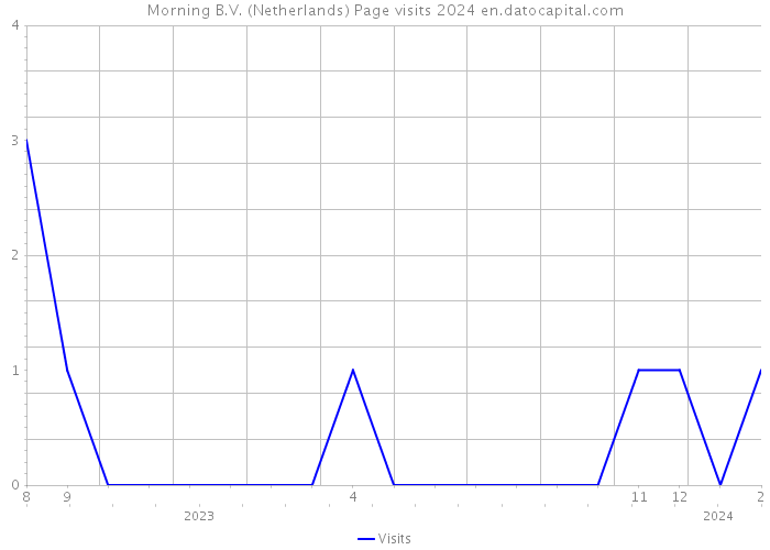 Morning B.V. (Netherlands) Page visits 2024 