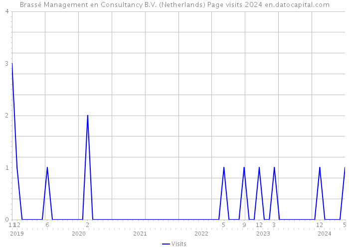 Brassé Management en Consultancy B.V. (Netherlands) Page visits 2024 