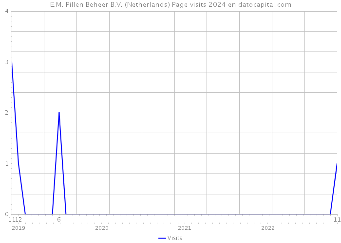 E.M. Pillen Beheer B.V. (Netherlands) Page visits 2024 