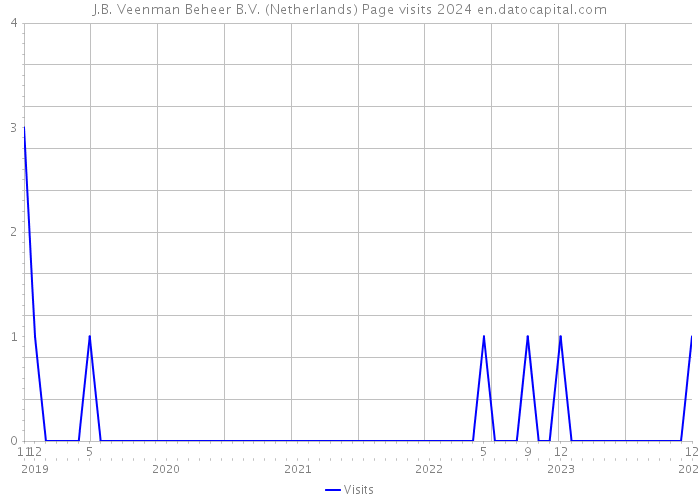 J.B. Veenman Beheer B.V. (Netherlands) Page visits 2024 