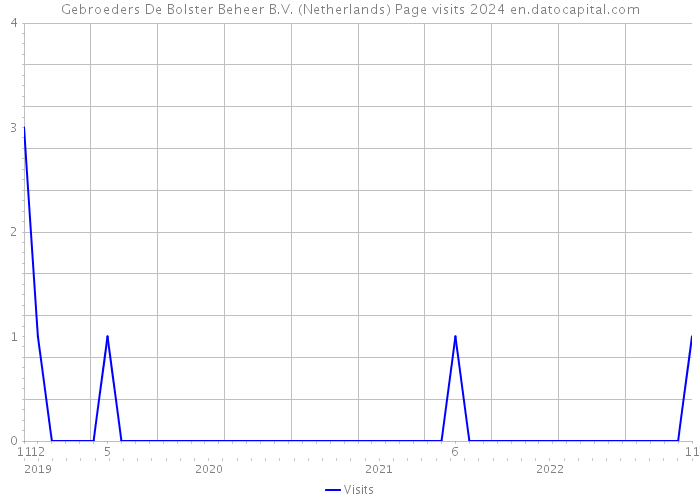 Gebroeders De Bolster Beheer B.V. (Netherlands) Page visits 2024 