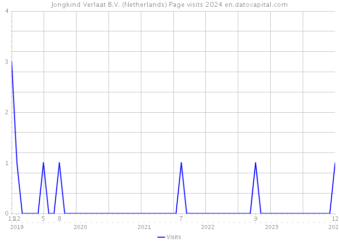 Jongkind Verlaat B.V. (Netherlands) Page visits 2024 