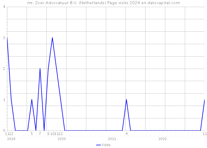mr. Zoer Advocatuur B.V. (Netherlands) Page visits 2024 