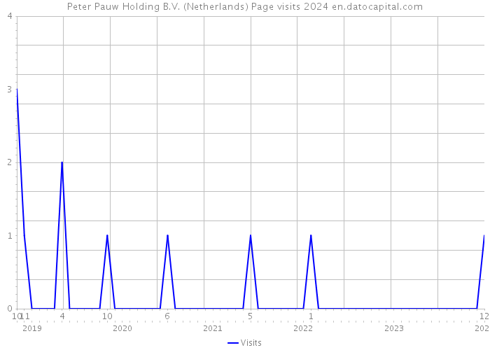 Peter Pauw Holding B.V. (Netherlands) Page visits 2024 