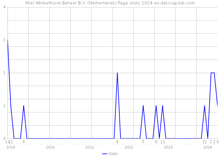 Miel Winkelhorst Beheer B.V. (Netherlands) Page visits 2024 