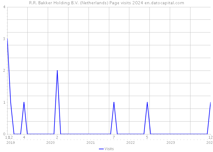 R.R. Bakker Holding B.V. (Netherlands) Page visits 2024 