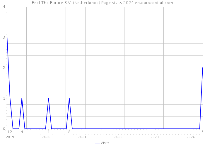 Feel The Future B.V. (Netherlands) Page visits 2024 