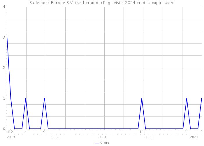 Budelpack Europe B.V. (Netherlands) Page visits 2024 