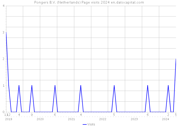 Pongers B.V. (Netherlands) Page visits 2024 