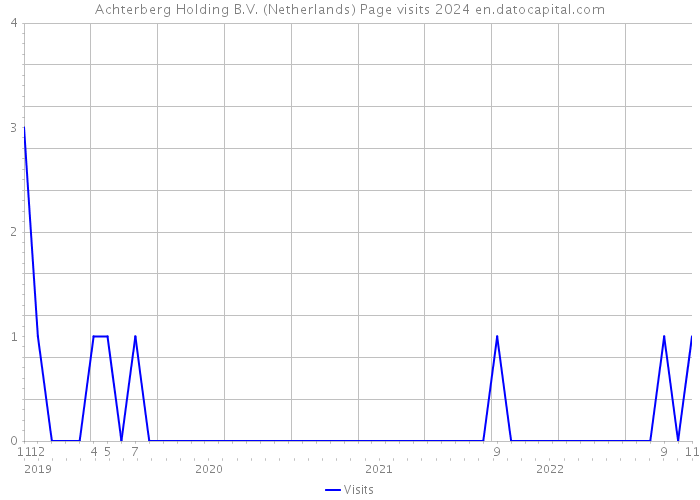 Achterberg Holding B.V. (Netherlands) Page visits 2024 