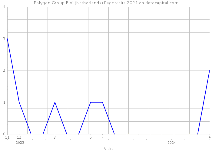 Polygon Group B.V. (Netherlands) Page visits 2024 