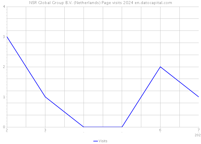 NSR Global Group B.V. (Netherlands) Page visits 2024 
