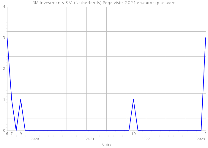RM Investments B.V. (Netherlands) Page visits 2024 