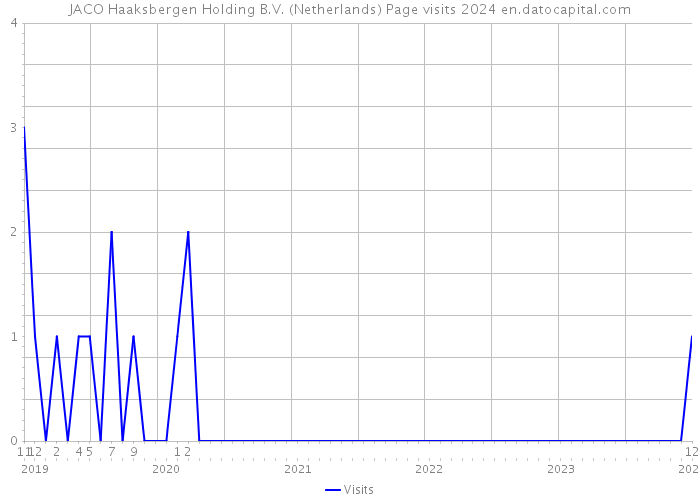 JACO Haaksbergen Holding B.V. (Netherlands) Page visits 2024 