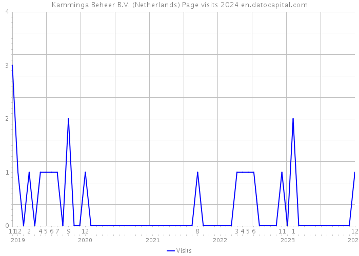Kamminga Beheer B.V. (Netherlands) Page visits 2024 