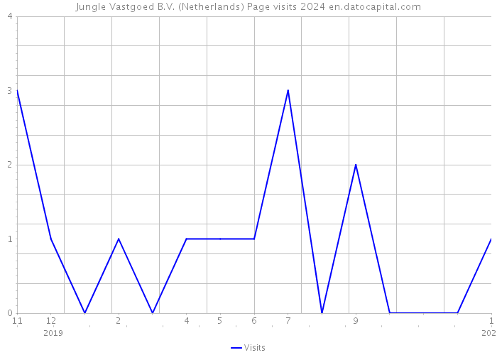 Jungle Vastgoed B.V. (Netherlands) Page visits 2024 